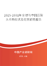 2025-2031年全球與中國壓裂頭市場現(xiàn)狀及前景趨勢報告
