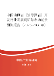 中國油頁巖（油母頁巖）開發(fā)行業(yè)發(fā)展調(diào)研與市場前景預測報告（2025-2031年）