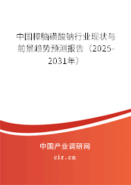 中國樟腦磺酸鈉行業(yè)現(xiàn)狀與前景趨勢預測報告（2025-2031年）