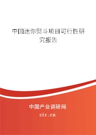 中國迷你熨斗項目可行性研究報告