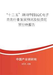 “十二五”期間中國B2C電子商務(wù)行業(yè)發(fā)展預(yù)測及投資前景分析報告