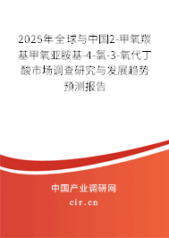 2025年全球與中國2-甲氧羰基甲氧亞胺基-4-氯-3-氧代丁酸市場調(diào)查研究與發(fā)展趨勢預測報告