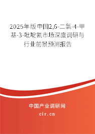 2025年版中國2,6-二氯-4-甲基-3-吡啶氰市場深度調(diào)研與行業(yè)前景預(yù)測報告