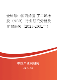 全球與中國丙烯腈-丁二烯橡膠（NBR）行業(yè)研究分析及前景趨勢（2025-2031年）