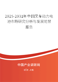2025-2031年中國叉車動力電池市場研究分析與發(fā)展前景報(bào)告