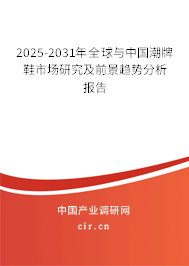 2025-2031年全球與中國潮牌鞋市場研究及前景趨勢分析報告