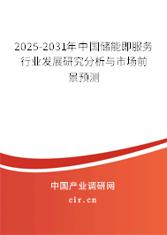 2025-2031年中國儲(chǔ)能即服務(wù)行業(yè)發(fā)展研究分析與市場前景預(yù)測