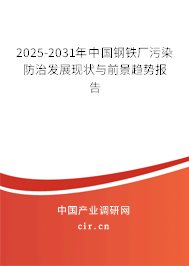 2025-2031年中國(guó)鋼鐵廠污染防治發(fā)展現(xiàn)狀與前景趨勢(shì)報(bào)告