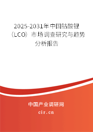 2025-2031年中國(guó)鈷酸鋰（LCO）市場(chǎng)調(diào)查研究與趨勢(shì)分析報(bào)告