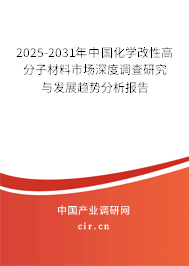 2025-2031年中國(guó)化學(xué)改性高分子材料市場(chǎng)深度調(diào)查研究與發(fā)展趨勢(shì)分析報(bào)告