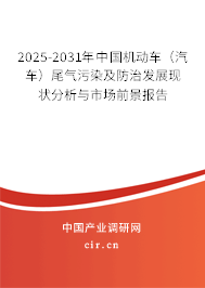2025-2031年中國機(jī)動(dòng)車（汽車）尾氣污染及防治發(fā)展現(xiàn)狀分析與市場(chǎng)前景報(bào)告