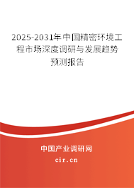 2025-2031年中國精密環(huán)境工程市場深度調(diào)研與發(fā)展趨勢預(yù)測報告