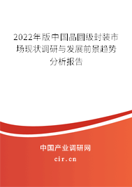 2022年版中國晶圓級封裝市場現狀調研與發(fā)展前景趨勢分析報告