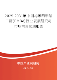 2025-2031年中國均苯四甲酸二酐(PMDA)行業(yè)發(fā)展研究與市場前景預測報告