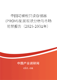 中國(guó)可編程只讀存儲(chǔ)器(PROM)發(fā)展現(xiàn)狀分析與市場(chǎng)前景報(bào)告（2025-2031年）