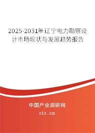 2025-2031年遼寧電力勘察設(shè)計(jì)市場(chǎng)現(xiàn)狀與發(fā)展趨勢(shì)報(bào)告
