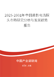 2025-2031年中國柔性電流探頭市場研究分析與發(fā)展趨勢報告