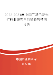 2025-2031年中國三基色熒光燈行業(yè)研究與前景趨勢預(yù)測報告