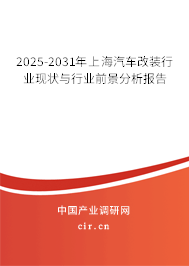 2025-2031年上海汽車改裝行業(yè)現(xiàn)狀與行業(yè)前景分析報告