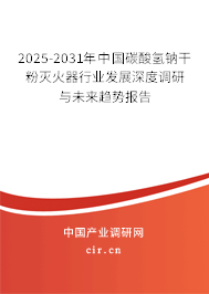 2025-2031年中國碳酸氫鈉干粉滅火器行業(yè)發(fā)展深度調(diào)研與未來趨勢報(bào)告