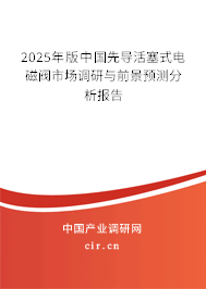 2025年版中國先導(dǎo)活塞式電磁閥市場調(diào)研與前景預(yù)測分析報(bào)告