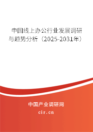 中國線上辦公行業(yè)發(fā)展調研與趨勢分析（2025-2031年）