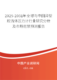 2025-2031年全球與中國異型腔流體壓力計(jì)行業(yè)研究分析及市場前景預(yù)測報(bào)告
