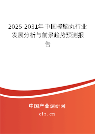 2024-2030年中國樟腦丸行業(yè)發(fā)展分析與前景趨勢預(yù)測報(bào)告