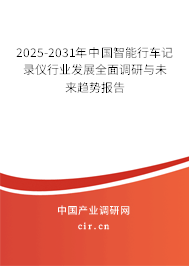 2025-2031年中國智能行車記錄儀行業(yè)發(fā)展全面調(diào)研與未來趨勢報告