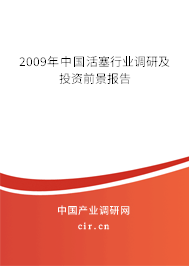 2009年中國活塞行業(yè)調(diào)研及投資前景報告
