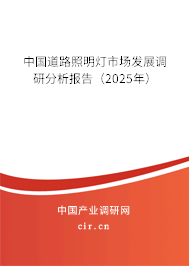 中國道路照明燈市場發(fā)展調(diào)研分析報告（2025年）