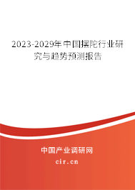 2023-2029年中國擺陀行業(yè)研究與趨勢預(yù)測報告