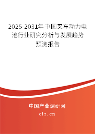 2025-2031年中國(guó)叉車動(dòng)力電池行業(yè)研究分析與發(fā)展趨勢(shì)預(yù)測(cè)報(bào)告