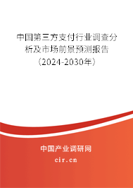 中國第三方支付行業(yè)調查分析及市場前景預測報告（2024-2030年）