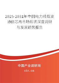 2025-2031年中國電力線載波通信芯片市場現(xiàn)狀深度調(diào)研與發(fā)展趨勢報(bào)告