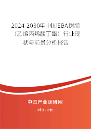 2024-2030年中國EBA樹脂（乙烯丙烯酸丁酯）行業(yè)現(xiàn)狀與前景分析報(bào)告