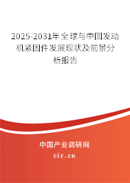 2025-2031年全球與中國發(fā)動機(jī)緊固件發(fā)展現(xiàn)狀及前景分析報告