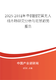 2025-2031年中國固定翼無人機(jī)市場研究分析與前景趨勢報告