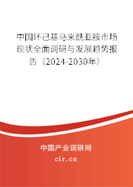 中國(guó)環(huán)己基馬來(lái)酰亞胺市場(chǎng)現(xiàn)狀全面調(diào)研與發(fā)展趨勢(shì)報(bào)告（2024-2030年）