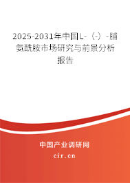 2025-2031年中國L-（-）-脯氨酰胺市場研究與前景分析報告