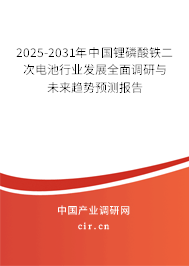 2025-2031年中國鋰磷酸鐵二次電池行業(yè)發(fā)展全面調(diào)研與未來趨勢(shì)預(yù)測報(bào)告