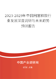 2023-2029年中國利塞膦酸行業(yè)發(fā)展深度調(diào)研與未來趨勢預(yù)測報(bào)告