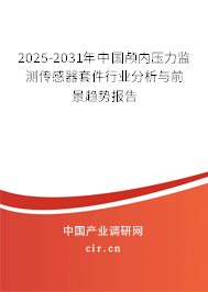2025-2031年中國顱內(nèi)壓力監(jiān)測傳感器套件行業(yè)分析與前景趨勢報(bào)告