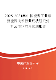 2025-2031年中國能源工業(yè)與新能源技術(shù)行業(yè)現(xiàn)狀研究分析及市場前景預(yù)測報(bào)告