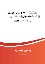 2025-2031年中國(guó)尼龍（PA）行業(yè)市場(chǎng)分析與發(fā)展趨勢(shì)研究報(bào)告