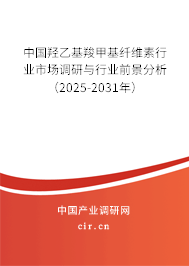 中國(guó)羥乙基羧甲基纖維素行業(yè)市場(chǎng)調(diào)研與行業(yè)前景分析（2025-2031年）