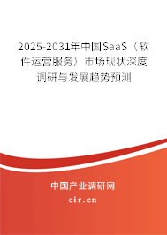 2025-2031年中國SaaS（軟件運(yùn)營服務(wù)）市場(chǎng)現(xiàn)狀深度調(diào)研與發(fā)展趨勢(shì)預(yù)測(cè)