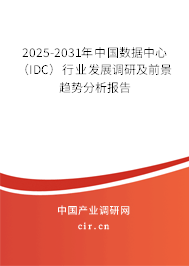 2025-2031年中國(guó)數(shù)據(jù)中心（IDC）行業(yè)發(fā)展調(diào)研及前景趨勢(shì)分析報(bào)告