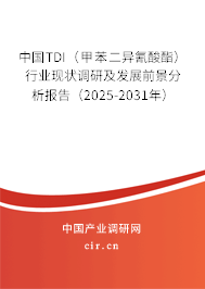 中國TDI（甲苯二異氰酸酯）行業(yè)現(xiàn)狀調(diào)研及發(fā)展前景分析報(bào)告（2025-2031年）