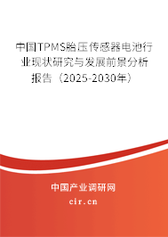 中國(guó)TPMS胎壓傳感器電池行業(yè)現(xiàn)狀研究與發(fā)展前景分析報(bào)告（2025-2030年）